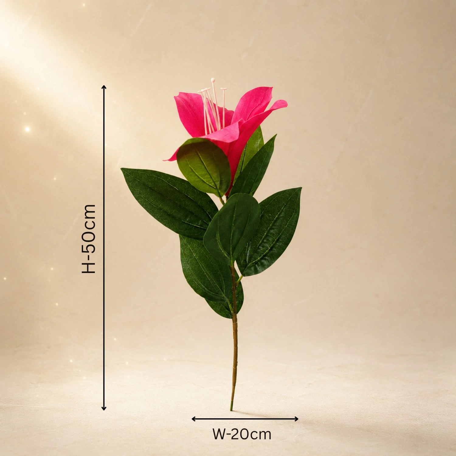 A Vivid Fuchsia Highlight