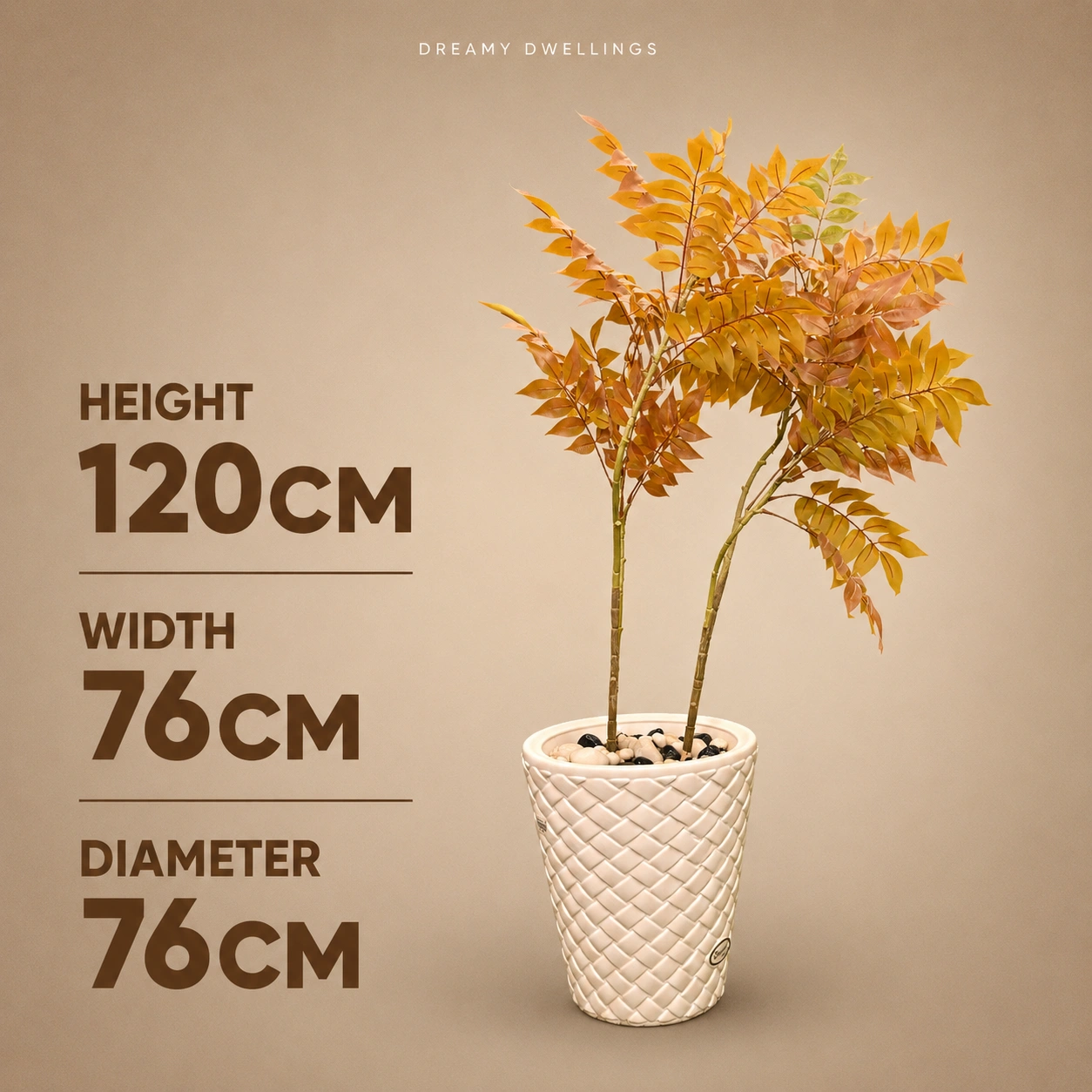 Golden Foliage for a Warm Accent