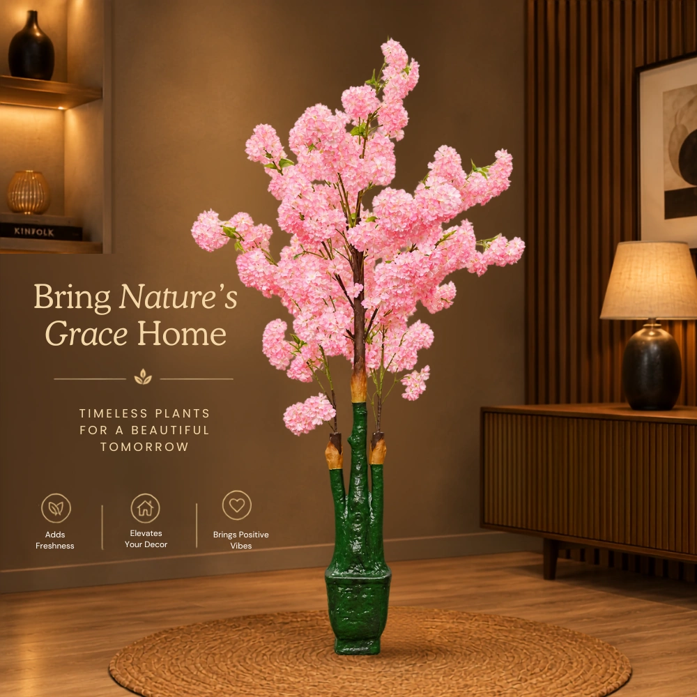 A Tall Canopy of Blush Blossoms