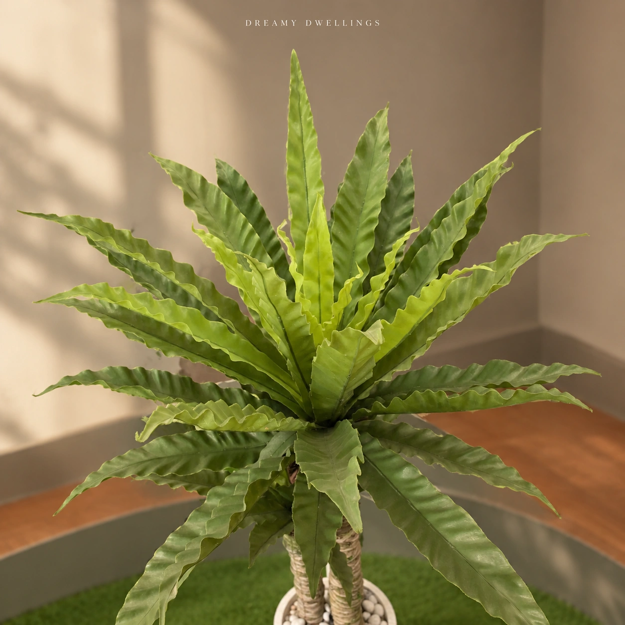 Two Leaf Crowns with Sculptural Form