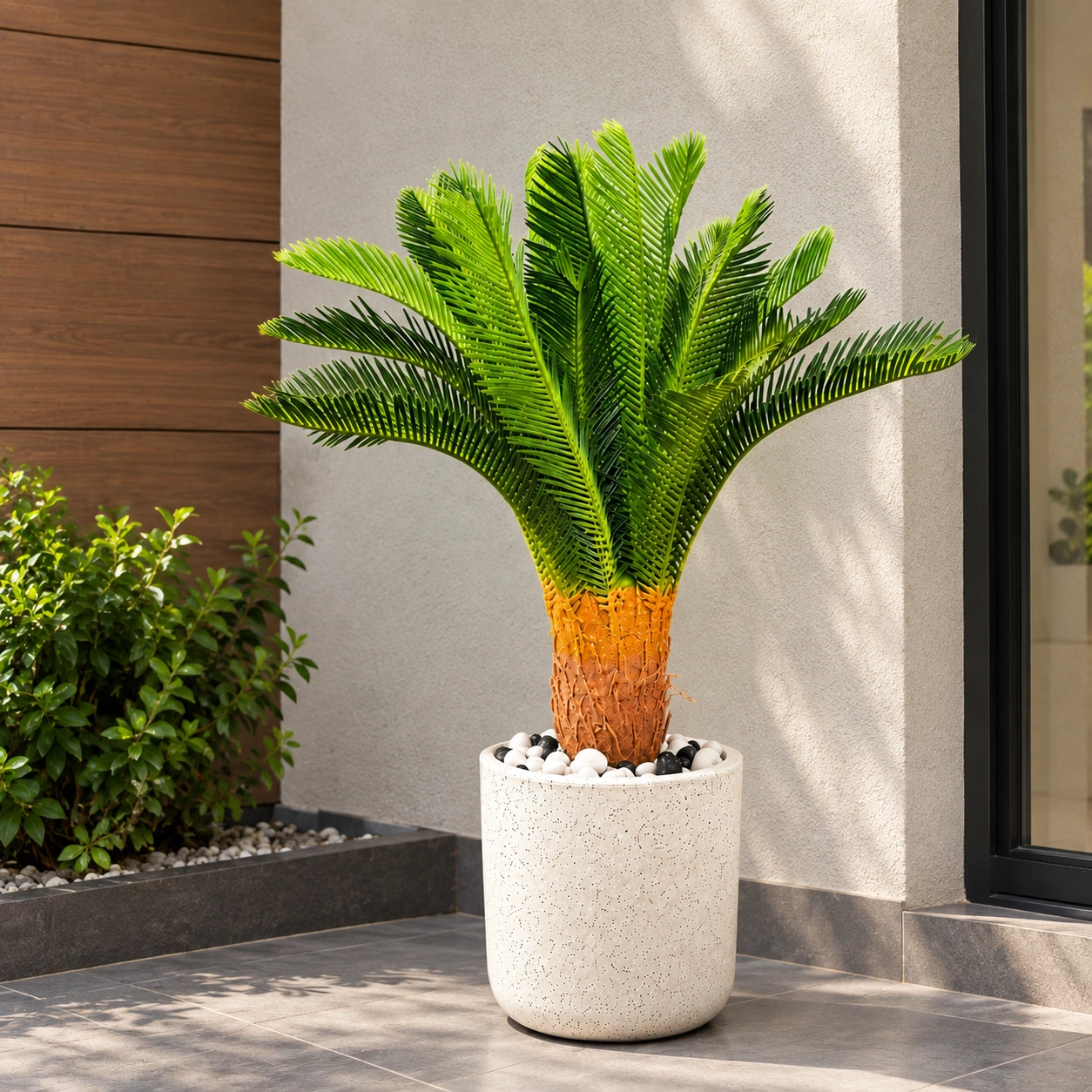 A Compact Crown of Palm Fronds