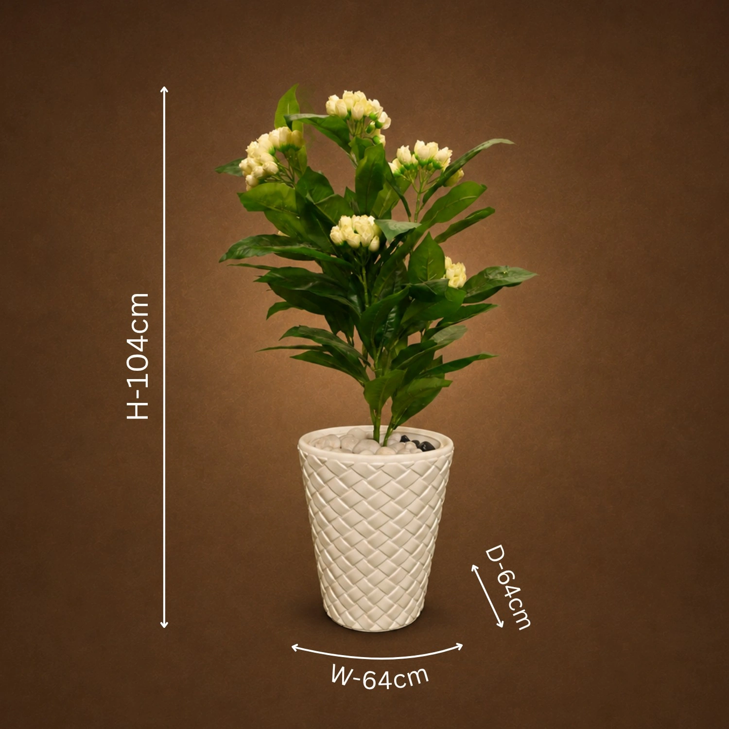 Ivory Buds with Deep Green Foliage